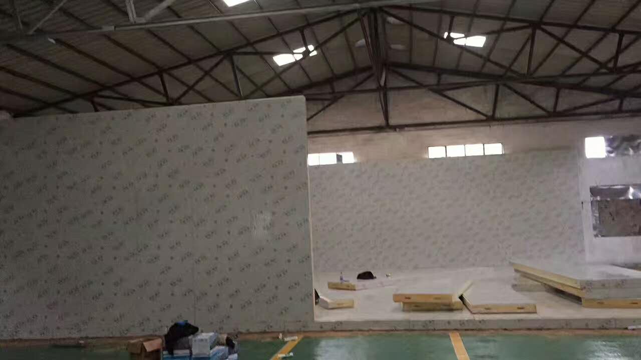 番禺沙灣鎮雞翅冷凍庫工(gōng)程